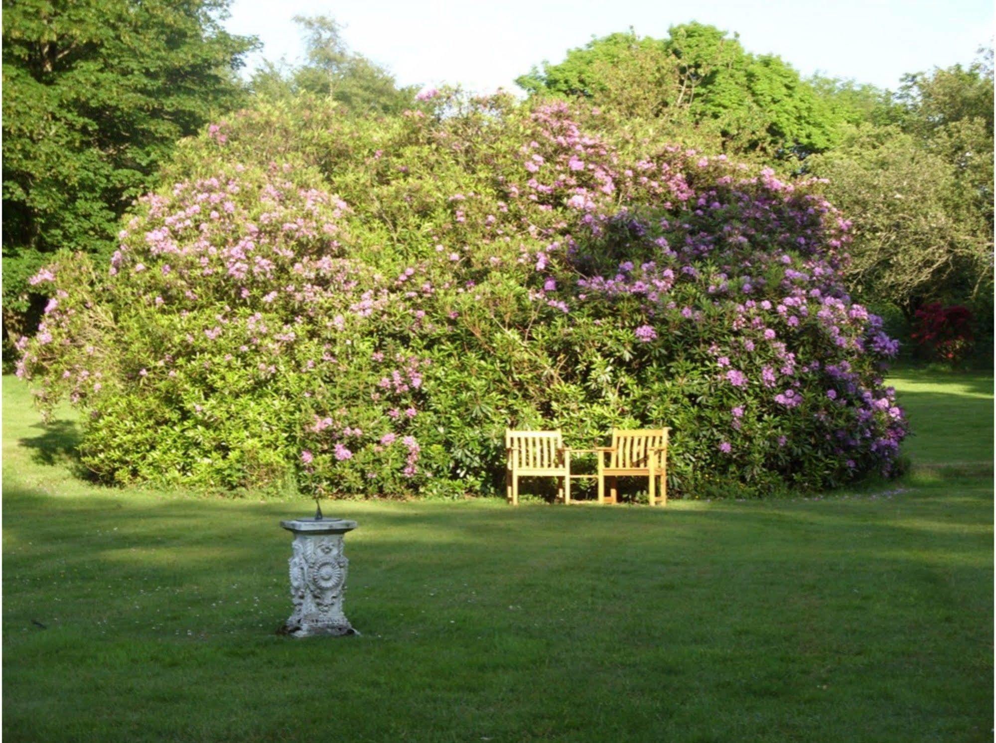 Moorlands Bed & Breakfast Parracombe Exterior photo